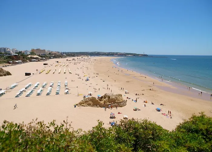 Primavera * Portimão